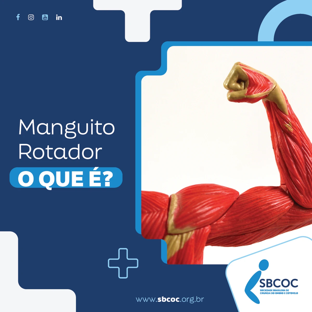 Manguito rotador, o que é?